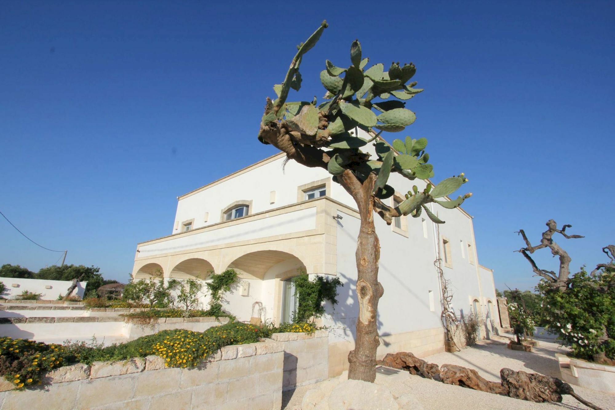 Masseria Lama Di Coccaro Savelletri Exterior foto